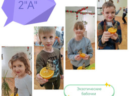 Март 2025